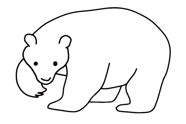 如何画棕熊棕熊图解简笔画怎么画步骤教程