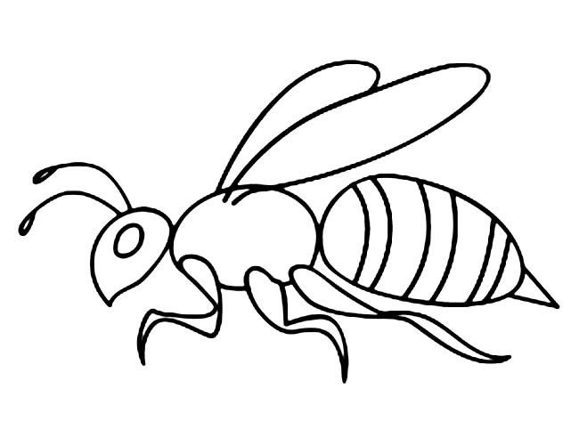 儿童大黄蜂大黄蜂昆虫简笔画