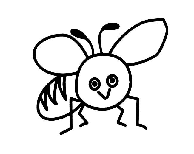 昆虫可爱小蜜蜂6简笔画