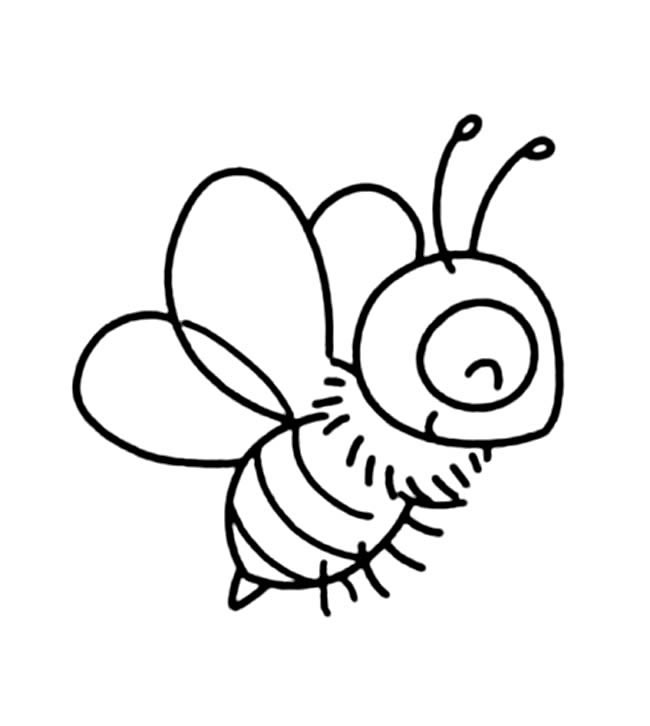 昆虫可爱小蜜蜂15简笔画