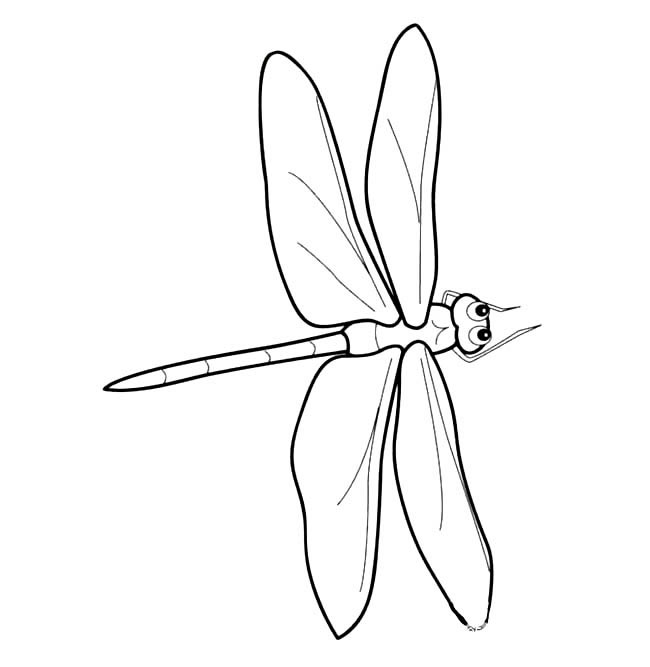 蜻蜓 手绘蜻蜓儿童简笔画