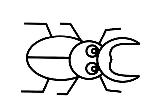 天牛甲壳虫天牛简笔画