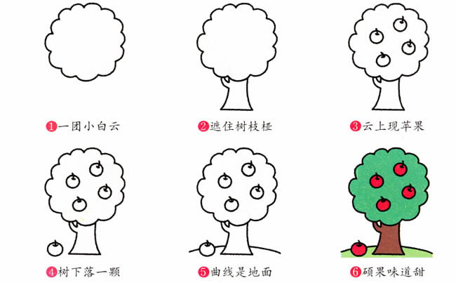 树简笔画植物内容包含相关植物简笔画栏目里的 苹果树植物简笔画步骤