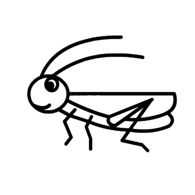 蚂蚱昆虫 蚂蚱昆虫简笔画
