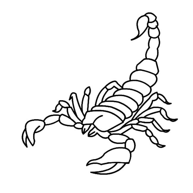 蝎子简笔画昆虫蝎子简笔画昆虫内容包含相关昆虫简笔画栏目里的 蝎子