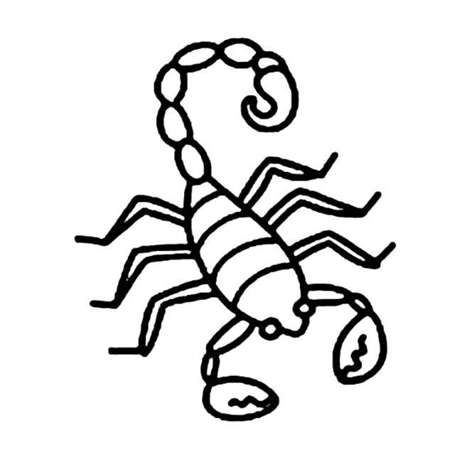 蝎子昆虫蝎子昆虫八简笔画