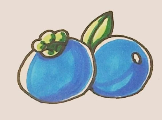 蓝莓简笔画的画法