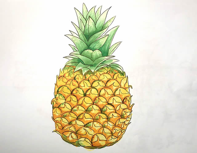 彩色菠萝画法教程简笔画
