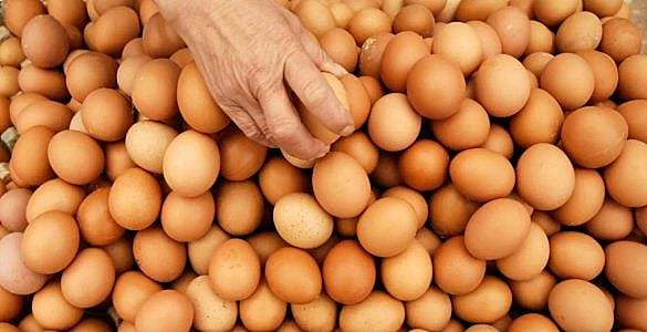 为什么鸡蛋不能吃太多?