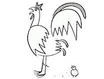 大公鸡画法简单简笔画怎么画步骤教程