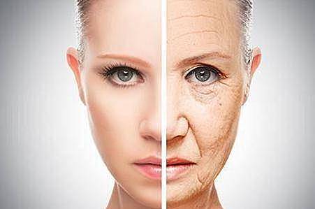 女性皮肤衰老的原因