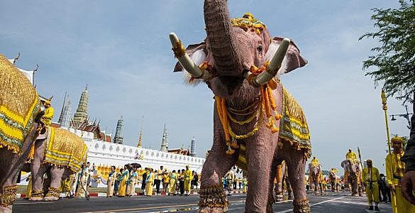 为什么泰国被称为“大象之邦”？