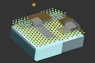 MIT设计出自动力机器人：与人类卵细胞大小相仿