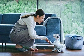 索尼的AI大业 从一只小狗开始