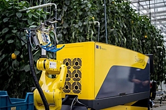 以色列等国研究人员开发出甜椒采摘机器人
