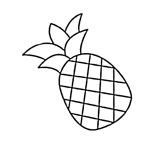 菠萝剖面图简笔画图片