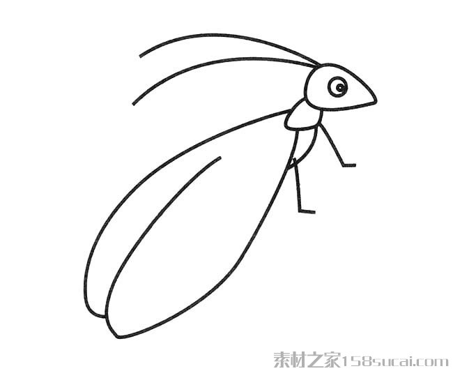 昆虫益虫简笔画图片