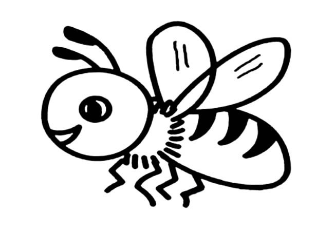 三年级昆虫简笔画图片