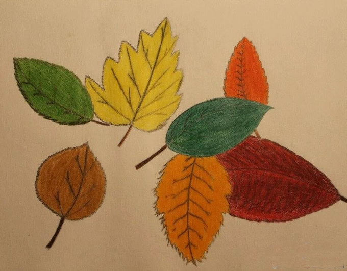 秋天的树叶图画儿童画图片