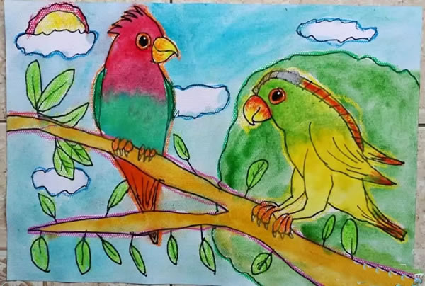 鸟和家禽的美术作业图片