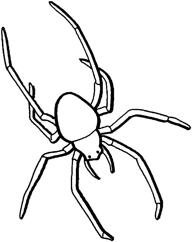 怪物蜘蛛简笔画图片