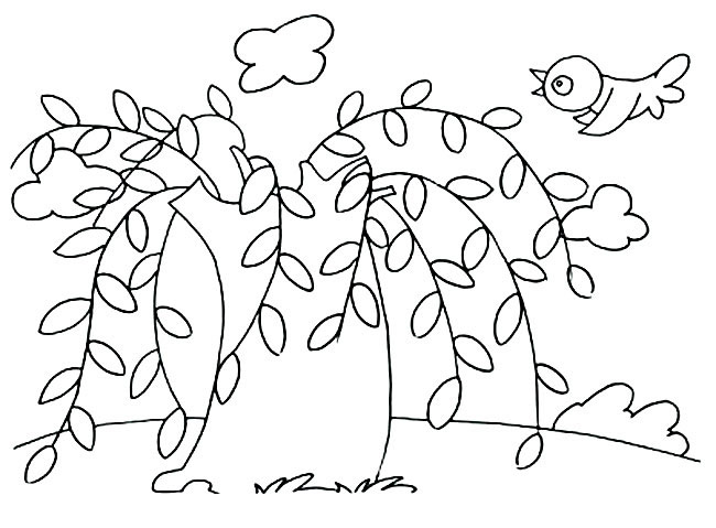 半边柳树怎么画简笔画图片