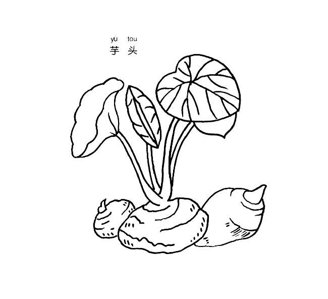 芋头蔬菜芋头蔬菜简笔画