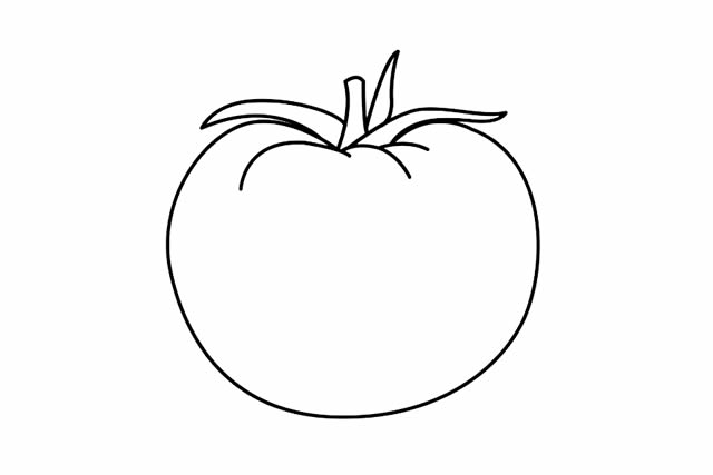 番茄的种类简笔画图片