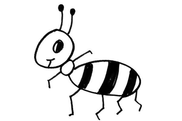 蚂蚁卡通蚂蚁的简单简笔画