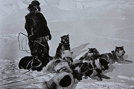 阿蒙森—人类第一个到达南极的人