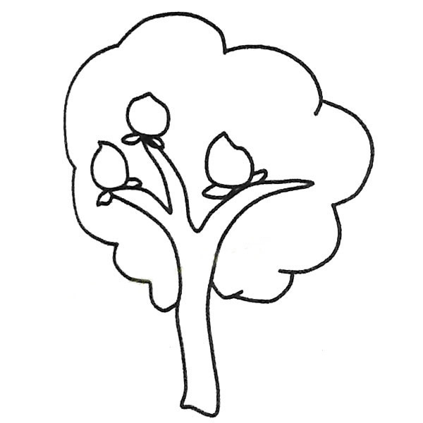 桃树6种不同的桃树儿童简笔画