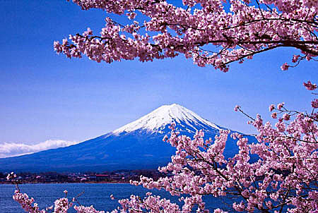 富士山竟然属于私人所有 而不归政府