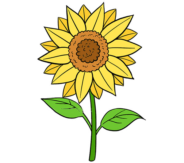 【向日葵】儿童学画向日葵带颜色简笔画
