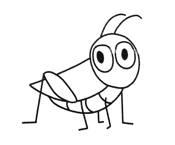蚂蚱图片儿童画画法图片
