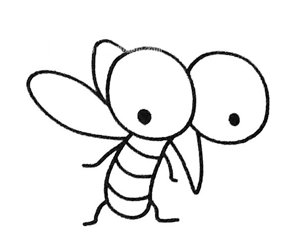 儿童学画蚊子教程蚊子的简单简笔画