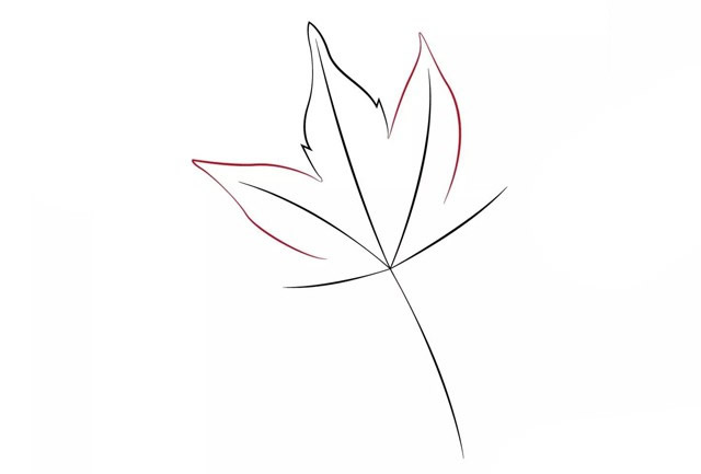 枫叶的画法 漂亮的秋天枫叶教程简笔画