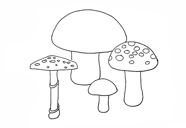 一组蘑菇画法简笔画