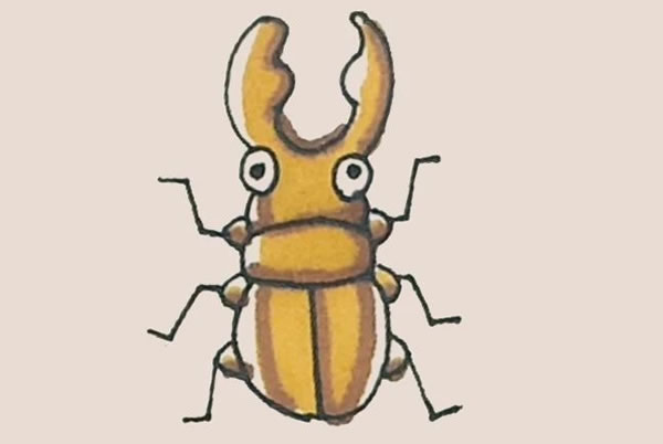 甲壳虫的画法图教程简笔画