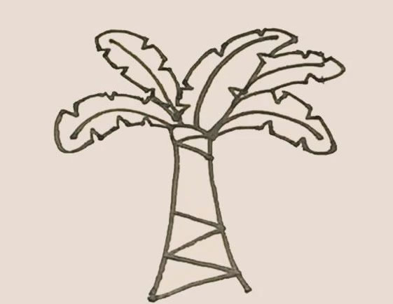 芭蕉树的画法图教程简笔画