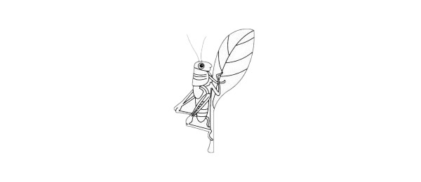 蝗虫的身体构造简笔画图片