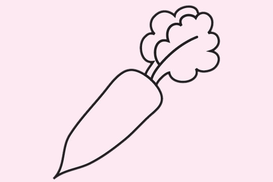 白萝卜简笔画简单画法步骤教程白萝卜,根茎类蔬菜,十字花科萝卜属植物