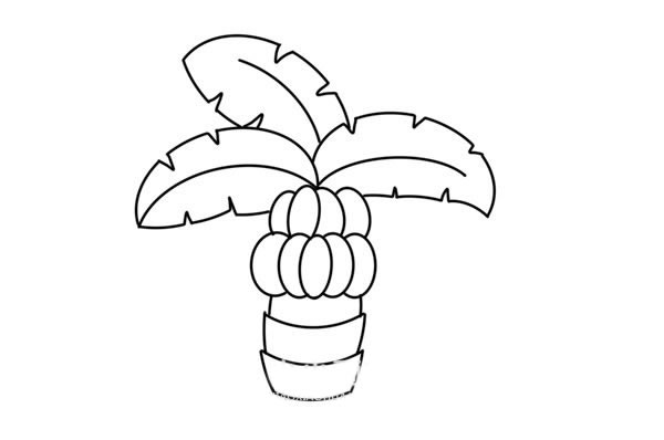 香蕉树怎么画童画图片