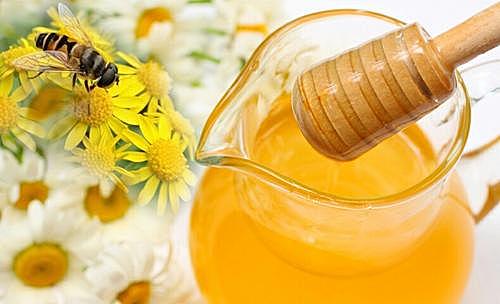 保存最久的蜂蜜已有3300年历史