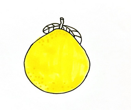 柚子的画法儿童简笔画图片