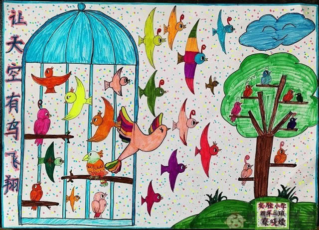 小学生爱鸟护鸟儿童画简单又漂亮
