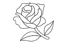 美丽的玫瑰花画法教程及简笔画