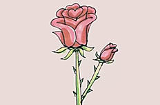 玫瑰花_一枝鲜艳的玫瑰花画法教程简笔画