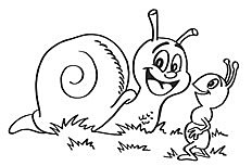 蜗牛和蚂蚁 蜗牛和蚂蚁的故事简笔画