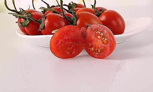 盆栽小西红柿的方法