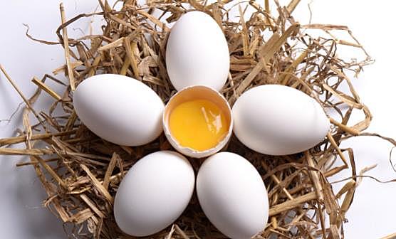土鸡蛋未必就更有营养